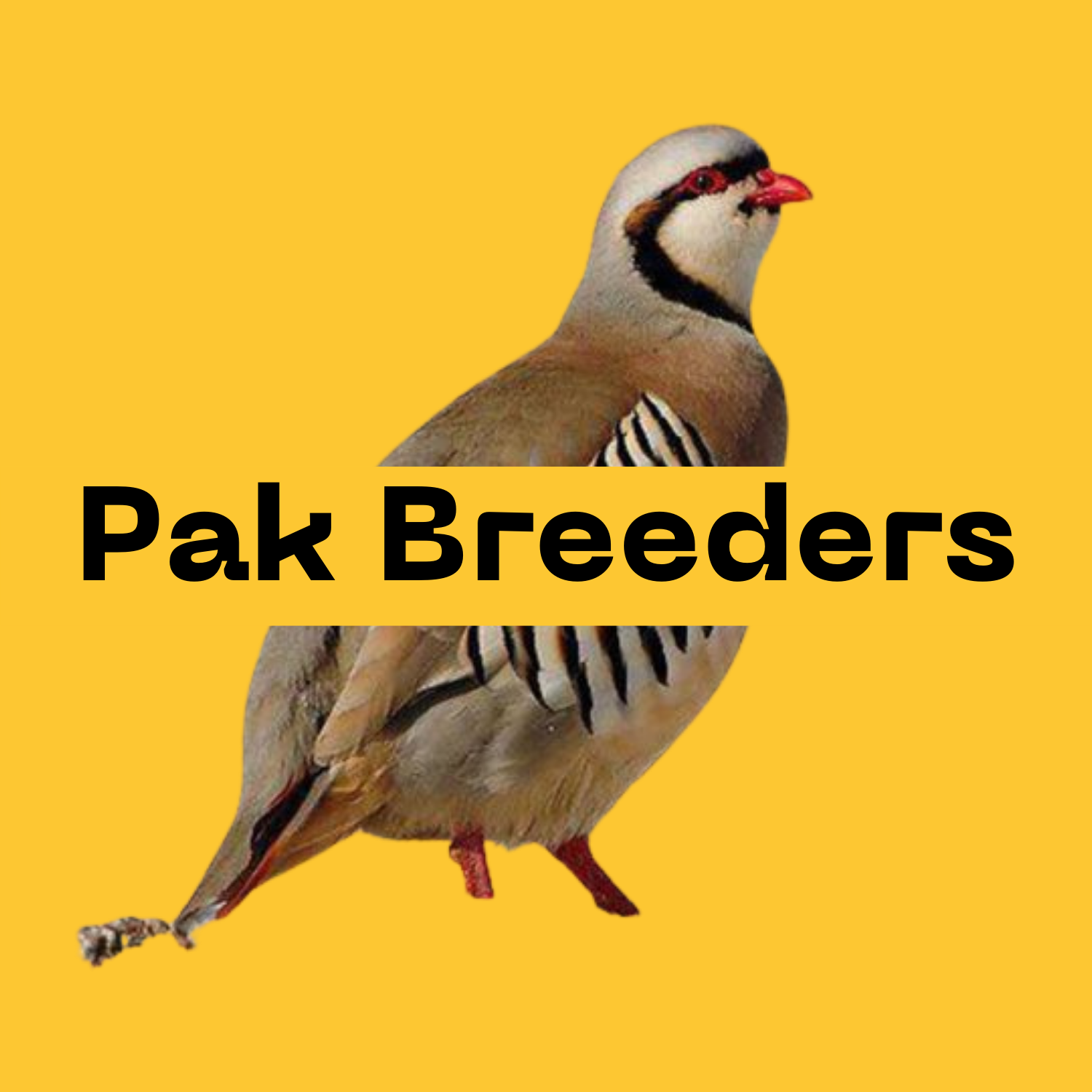Pak Breeders