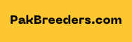 https://pakbreeders.com/wp-content/uploads/2022/07/Untitled-design.png
