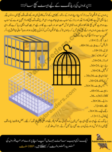 Bird Cage Size for Breeding