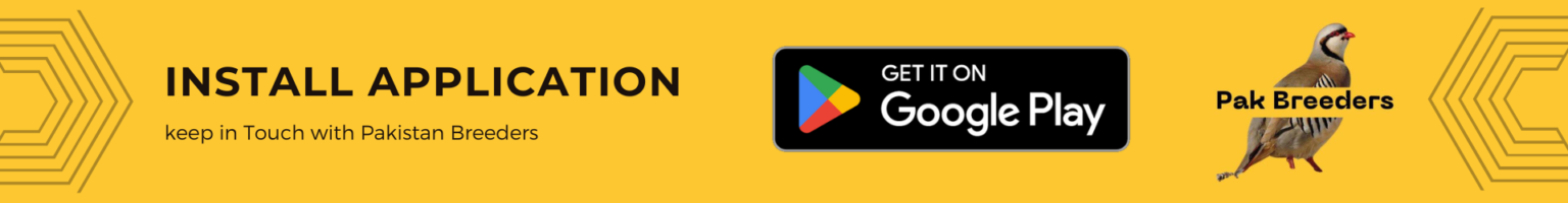 Install Pak Breeders Application