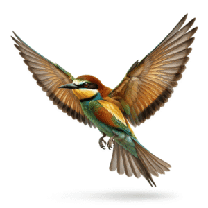 Flying Bird