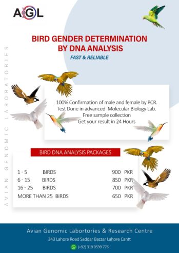 BIRD DNA TESTING | Avian Genomic Laboratory and Research center.