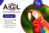 BIRD DNA TESTING | Avian Genomic Laboratory and Research center.