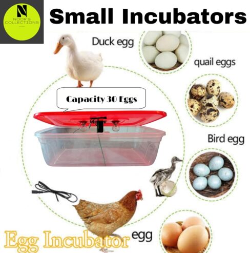 AC/DC 12V Incubator