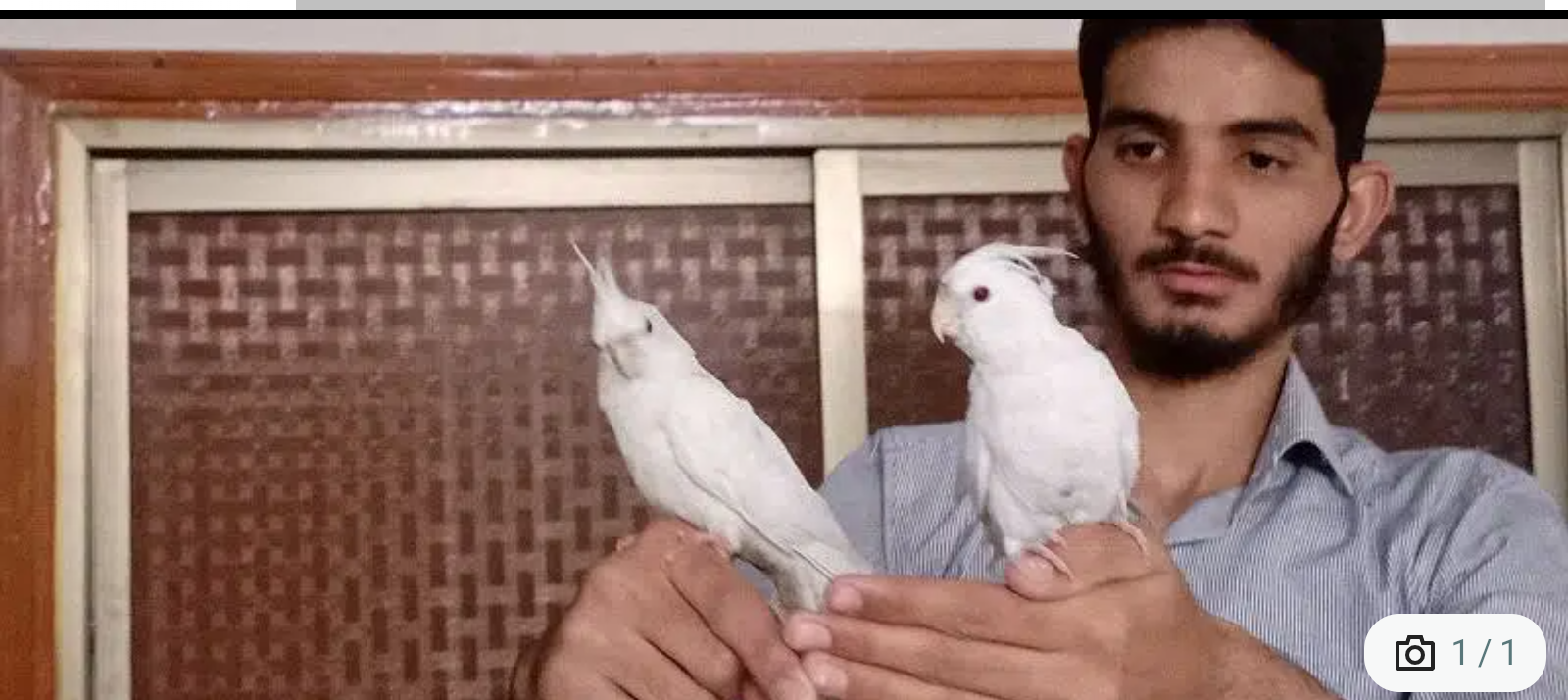 Eno cocktail handtam in Karachi
