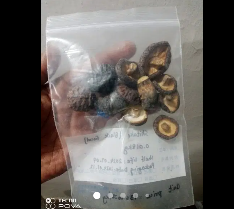 Mushrooms Spawns, Spore Print and Liquid Culture Available.