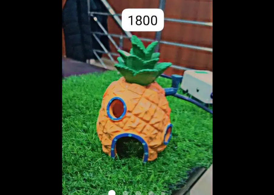 Aquarium accessories for sale full nd final price mention on pics.