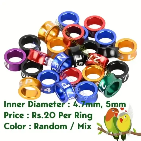 Top Quality Lovebirds Aluminum Birds Rings – Rs. 30 per ring – Parrots