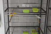 Love birds 2 cage for sale