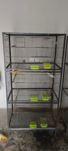 Love birds 2 cage for sale