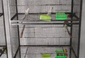 Love birds 2 cage for sale