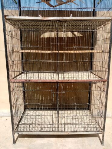 5 Portion Cage With or without Birds