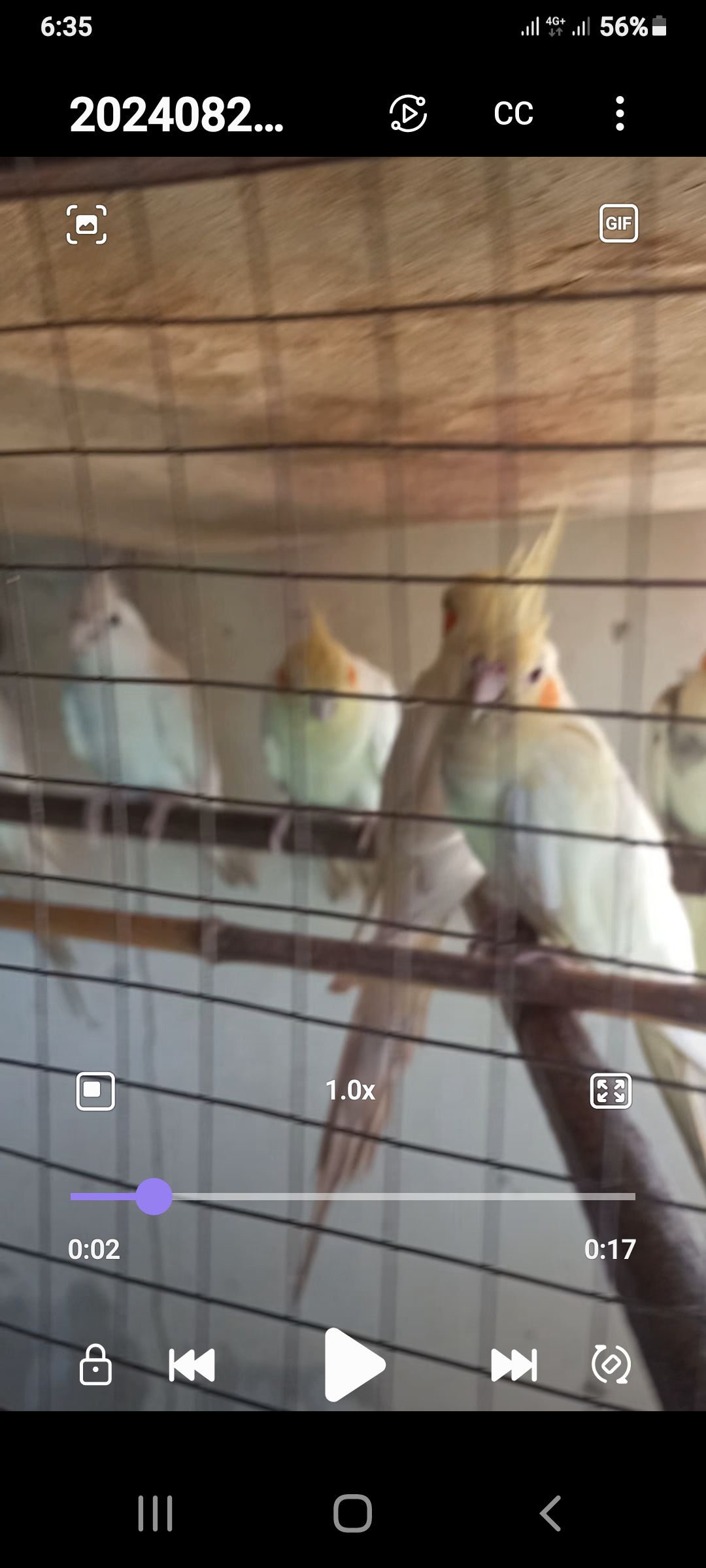 کاکٹل بریڈر پیس