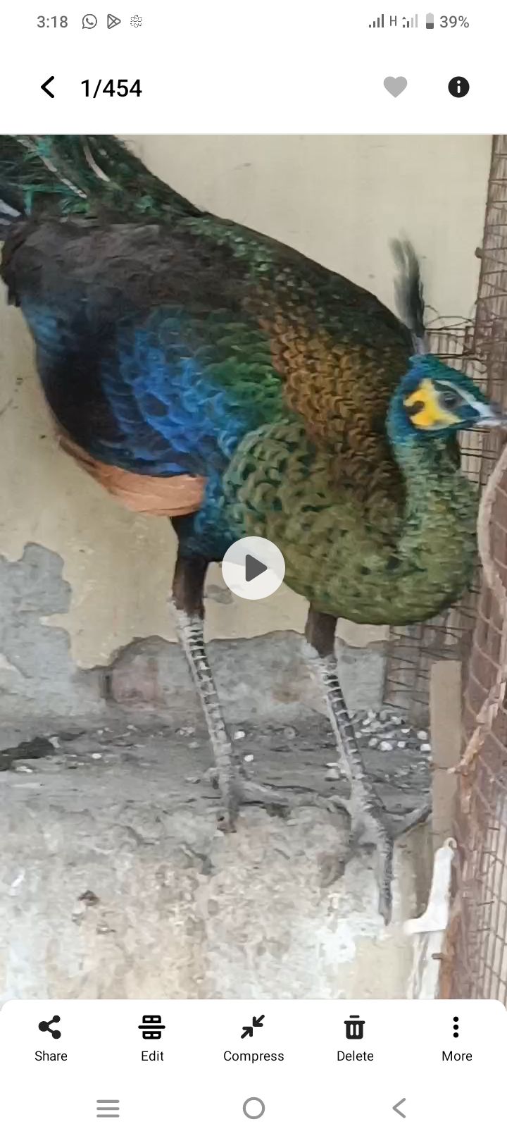 Pair b mil Jaye ga