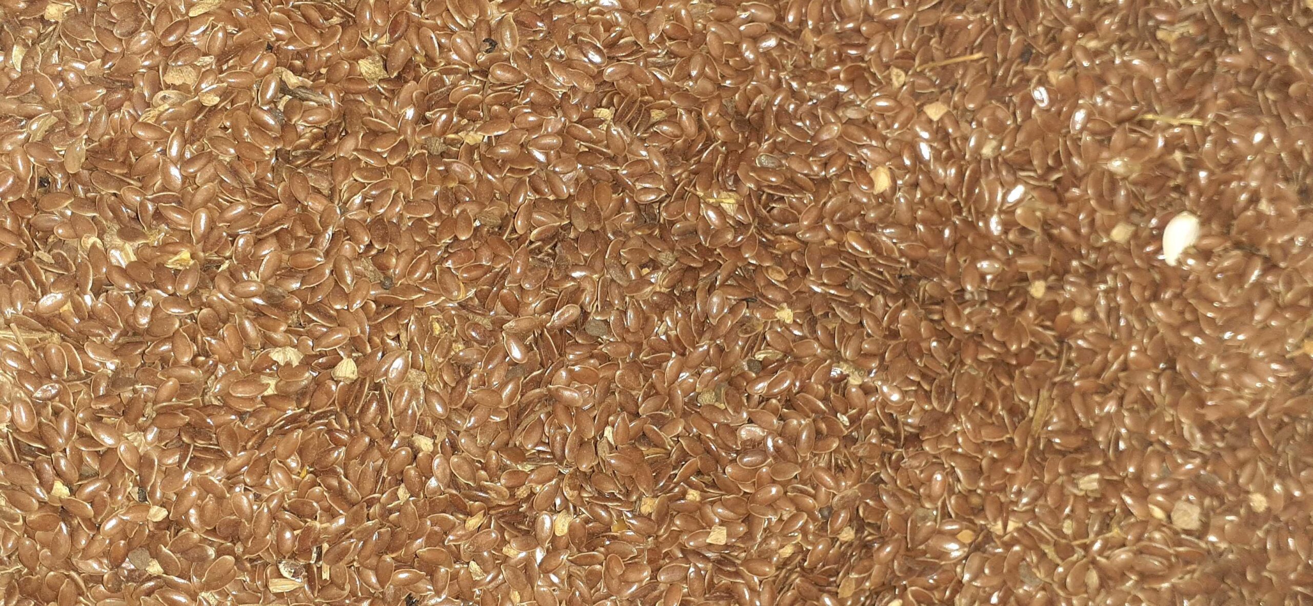 Jani Birds & feed shop