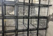 Cages for sale