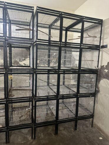 Cages for sale