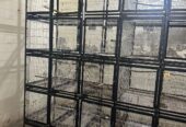 Cages for sale