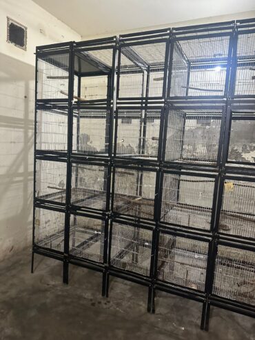 Cages for sale