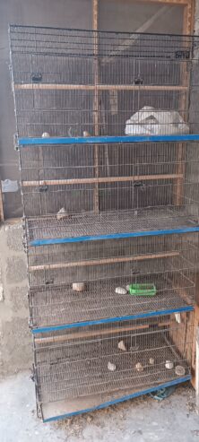 Master Cage 4 Portion for sale