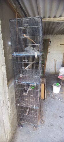 Master Cage 4 Portion for sale