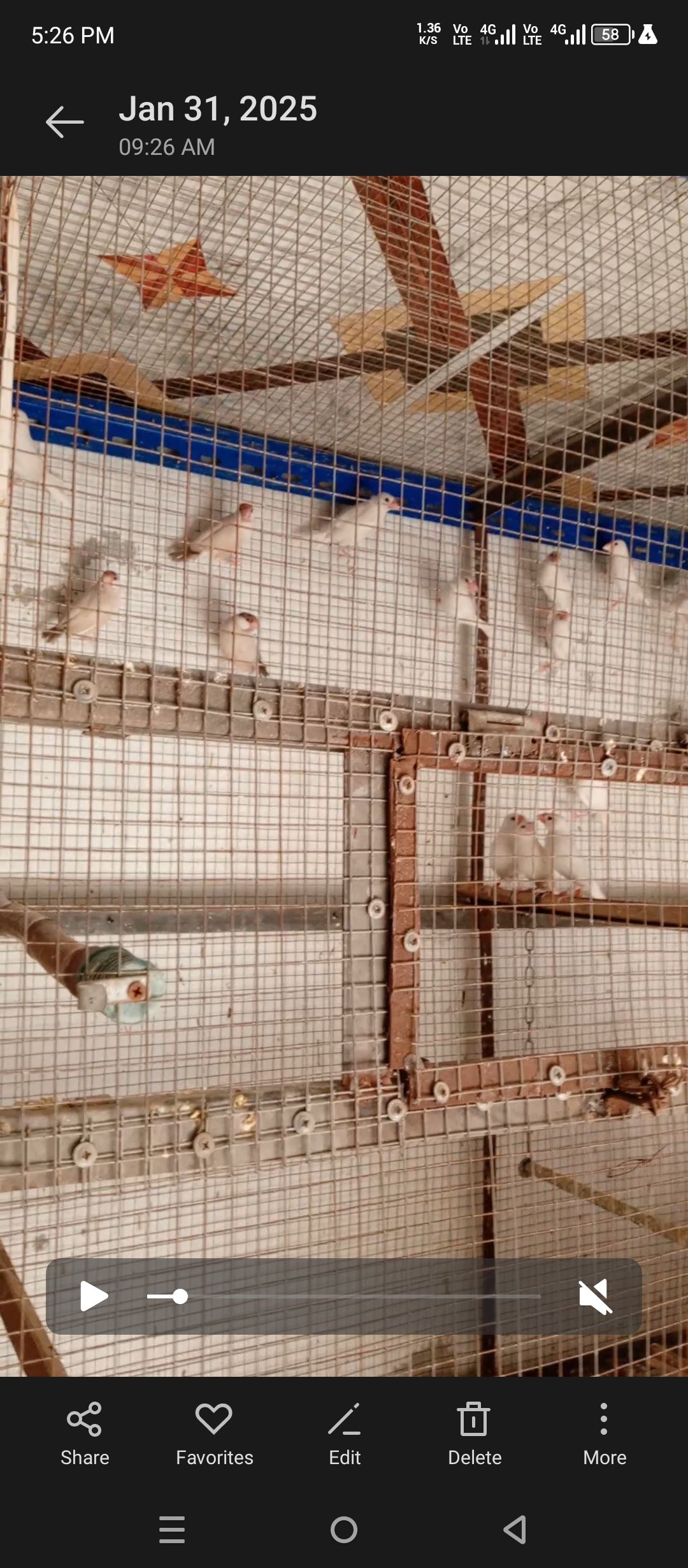 White java 1000 par pic age 18 month