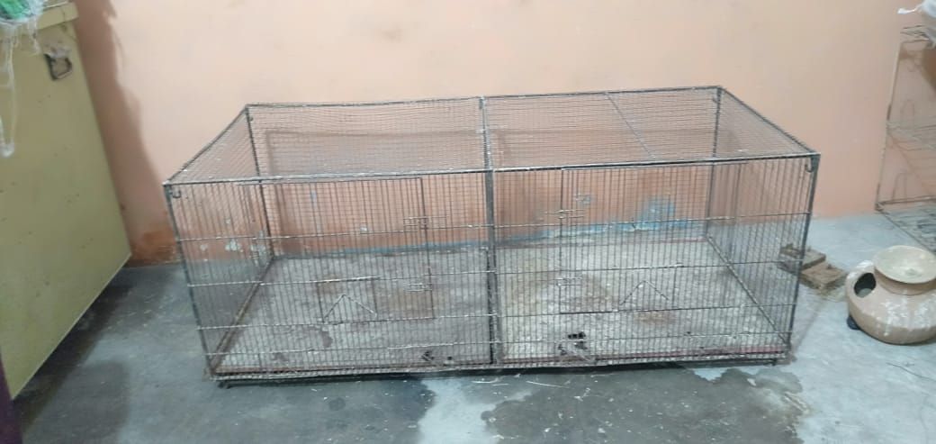 Bird cage 2×2
