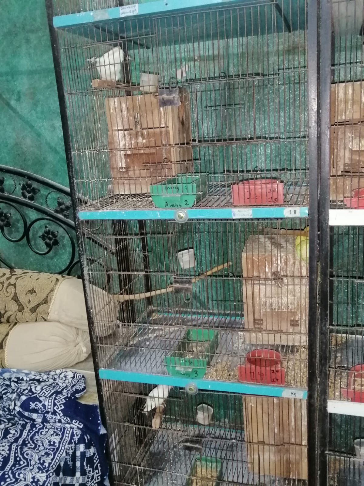 Ramadan offer 4 portion Cage size 2 by 1.5 by 1.5 . 10/10