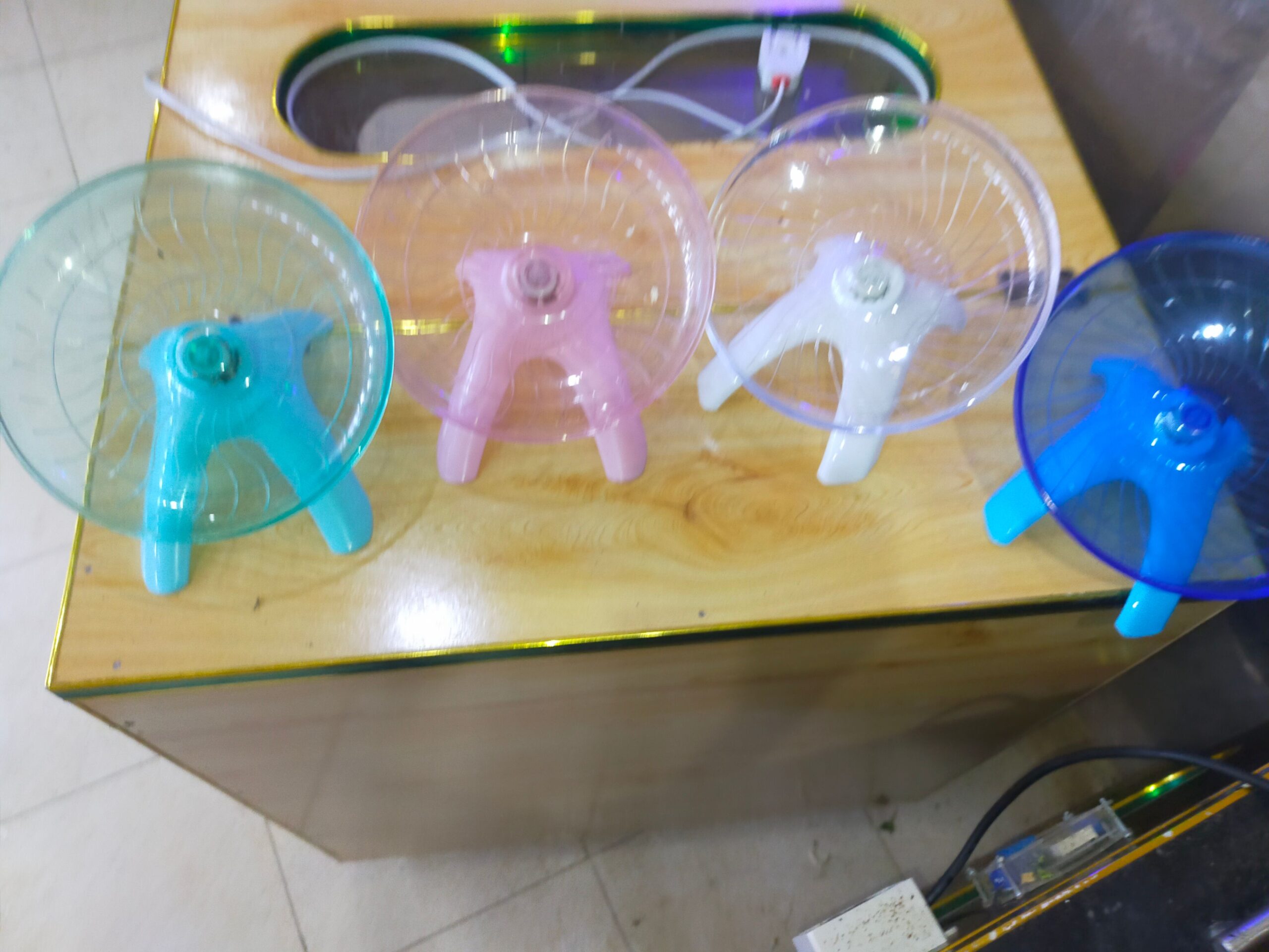 adorable Hamsters for sale in Lahore