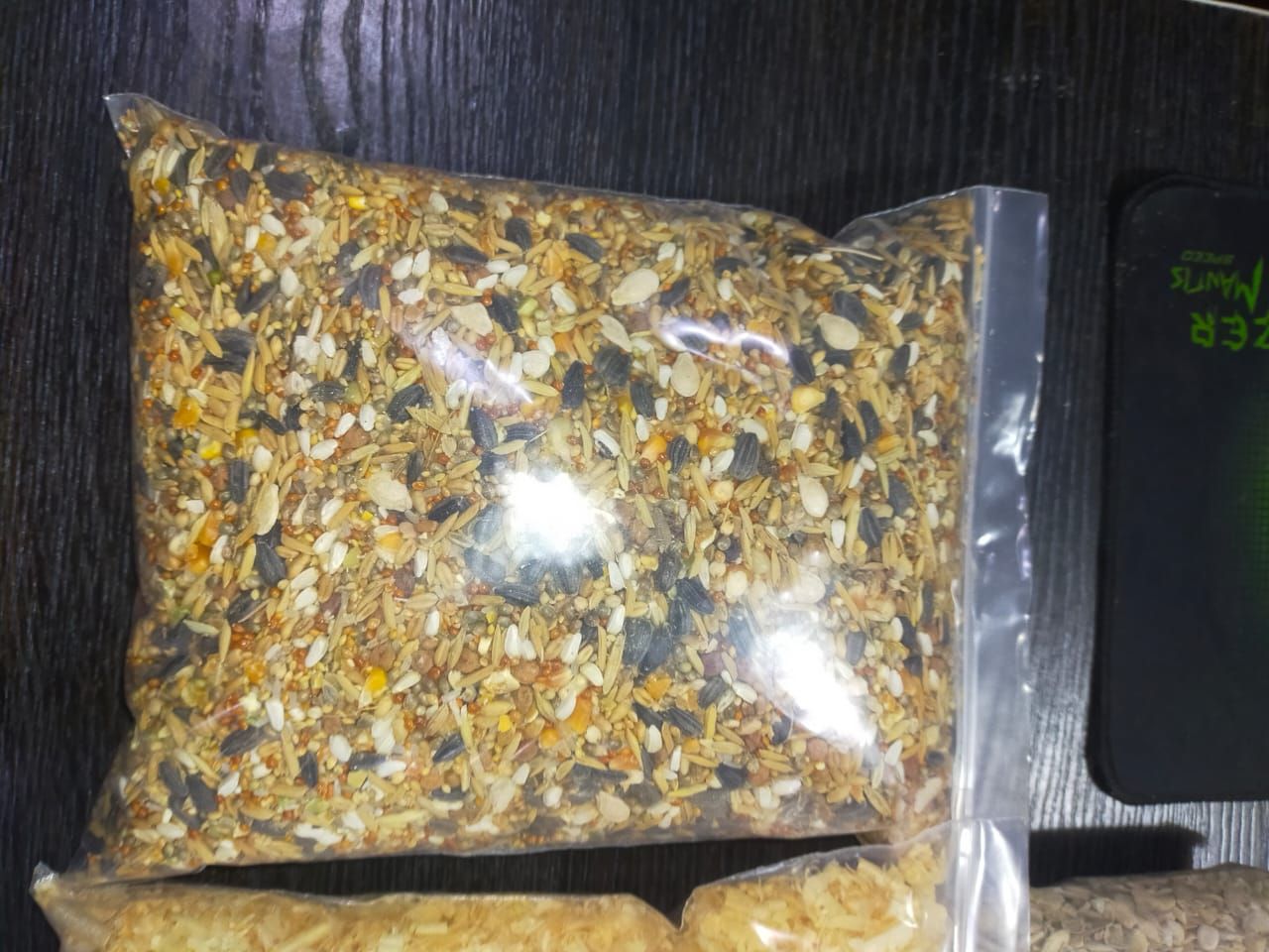 Hamsters for sale in Lahore with all accessories