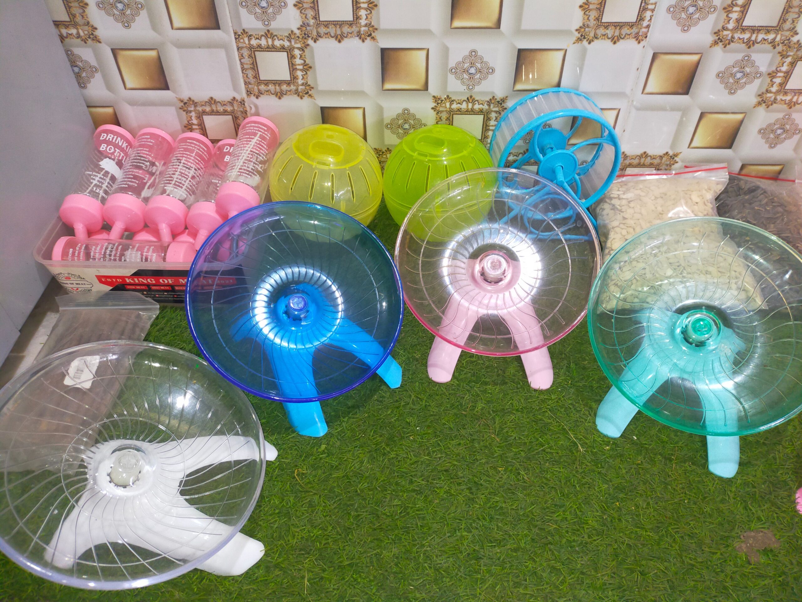 Hamsters for sale in Lahore with all accessories