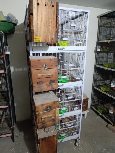 Cages