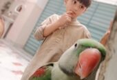 Raw parrot 🦜