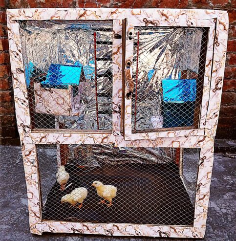Parrots Birds Cage Pinjra Hens Chick Pets and animals Cage