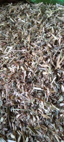 Alfa Alfa | Khushk Lusan | Hay | Alfalfa | Losan | Wanda | Dana