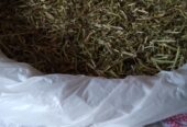 Alfa Alfa | Khushk Lusan | Hay | Alfalfa | Losan | Wanda | Dana