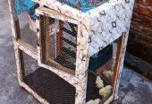 Parrots Birds Cage Pinjra Hens Chick Pets and animals Cage