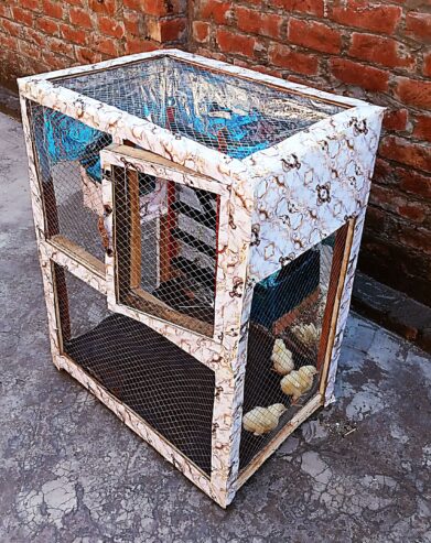 Parrots Birds Cage Pinjra Hens Chick Pets and animals Cage