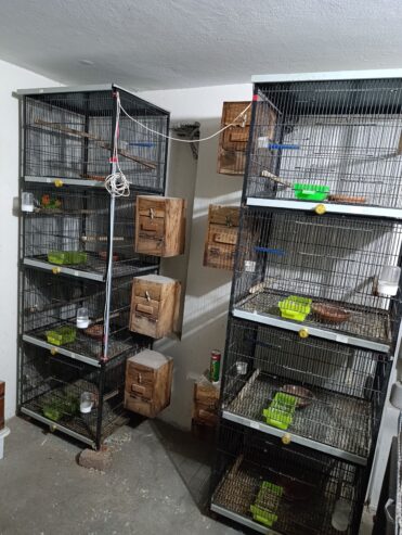 Cages