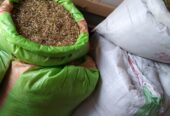 Alfa Alfa | Khushk Lusan | Hay | Alfalfa | Losan | Wanda | Dana