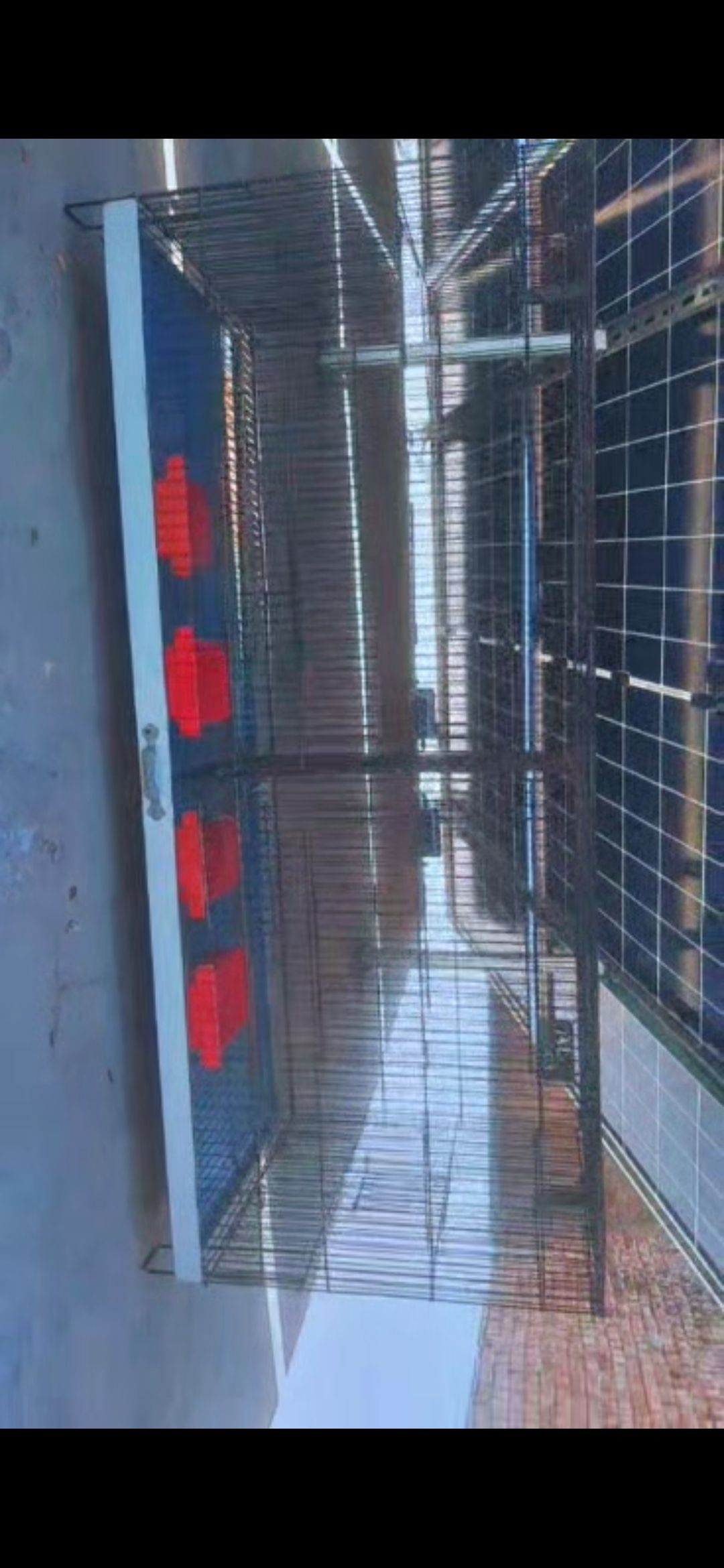 partition cage folding cage Ali cage size 4×1.5×1.5 4 box option 6 pots option for water and seeds 2 big doors 2 small doors location sargodha