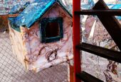 Parrots Birds Cage Pinjra Hens Chick Pets and animals Cage