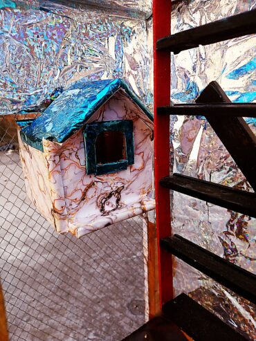 Parrots Birds Cage Pinjra Hens Chick Pets and animals Cage