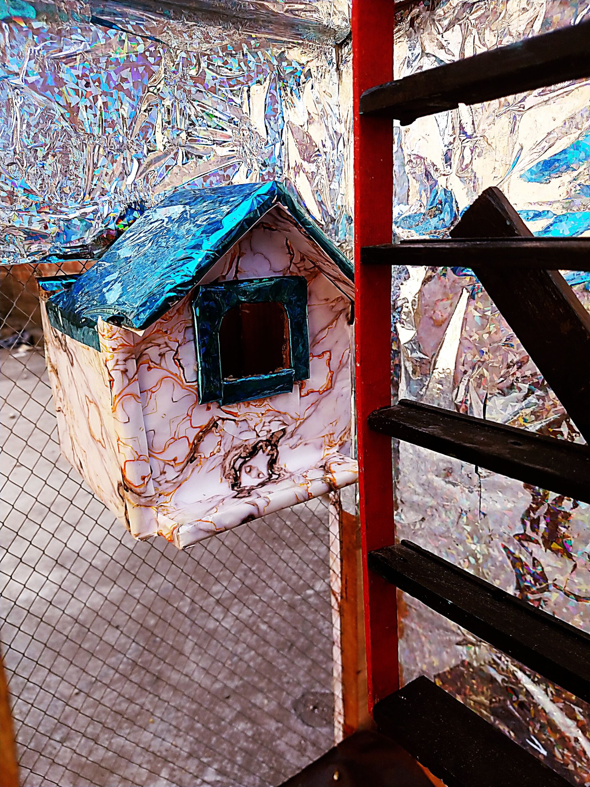 Parrots Birds Cage Pinjra Hens Chick Pets and animals Cage