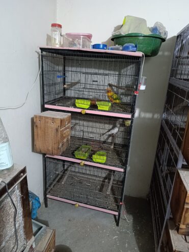 Cages