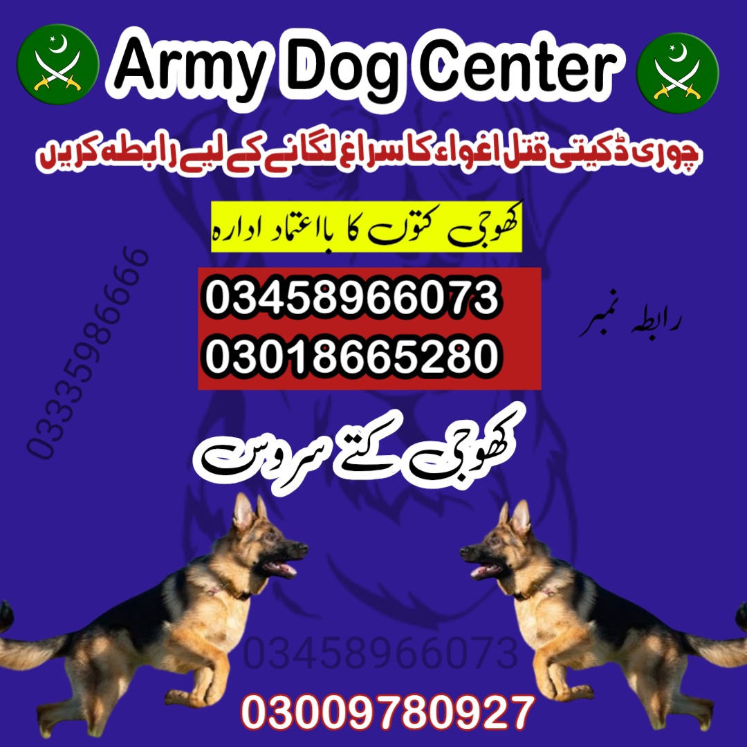 Army Dog Center Swat 03458966073 (Khoji Dogs In Swat )
