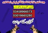 Army Dog Center Pabbi Nowshera 03335986666 | Khoji Dogs Contact Number