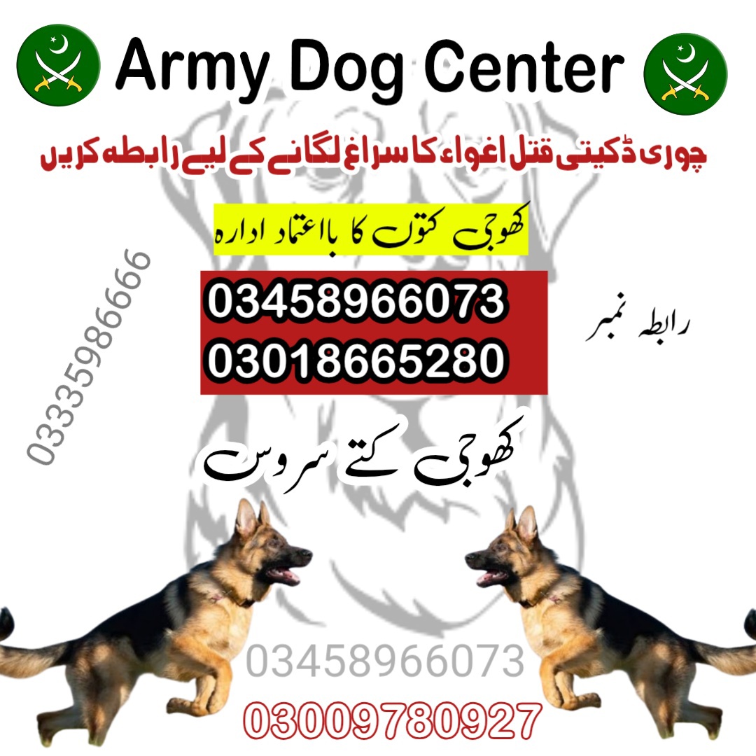 Army Dog Center Swat 03458966073 (Khoji Dogs In Swat )