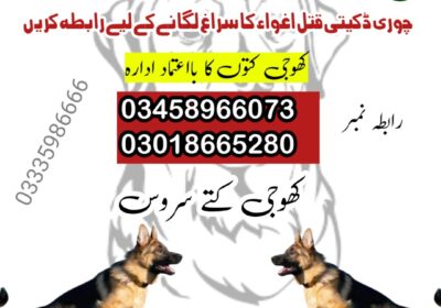 1000005731-6