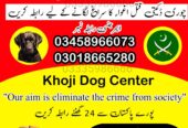 Army Dog Center 03458966073